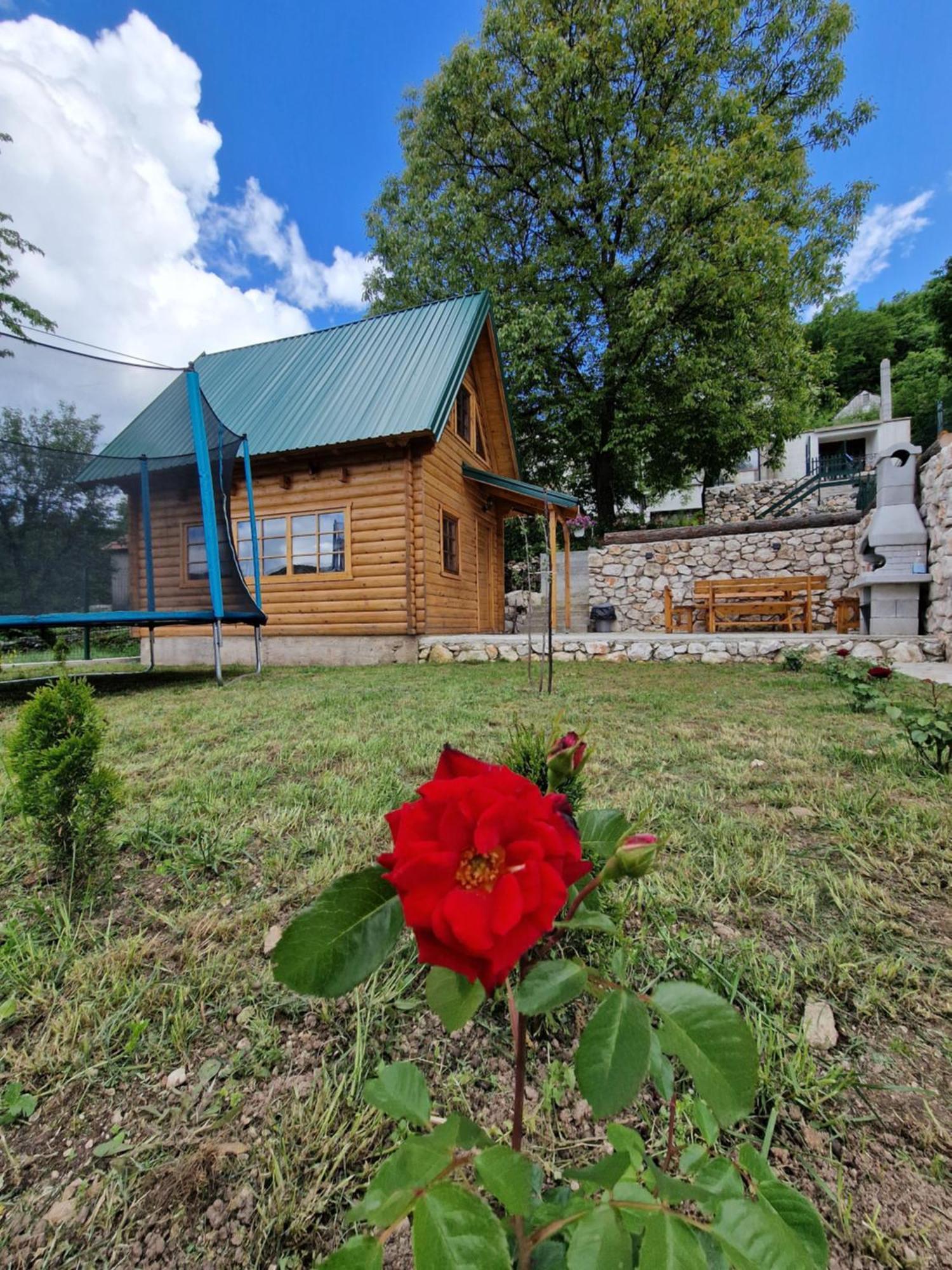 Brvnara Ricki Villa Cetinje Exterior photo