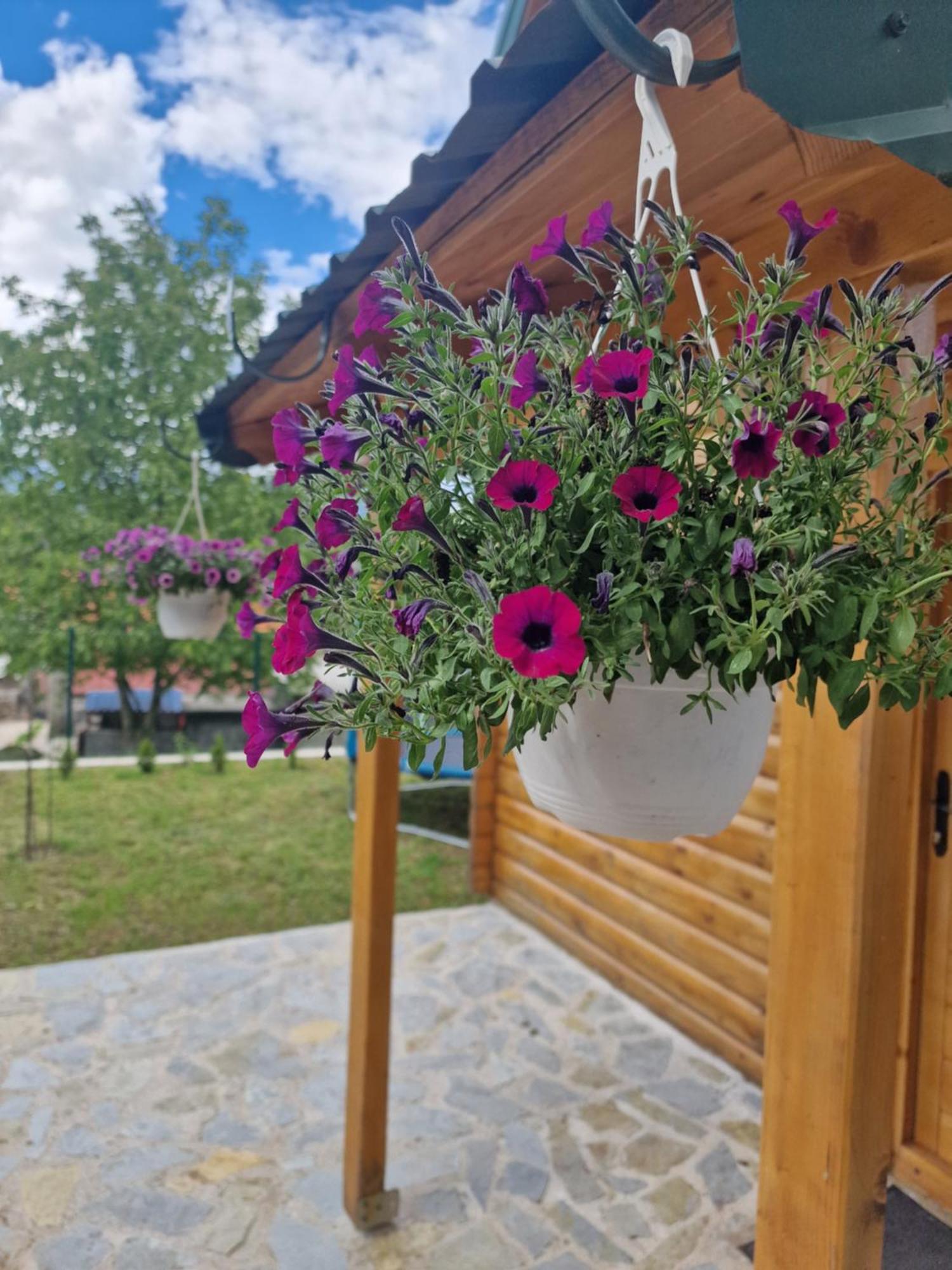 Brvnara Ricki Villa Cetinje Exterior photo
