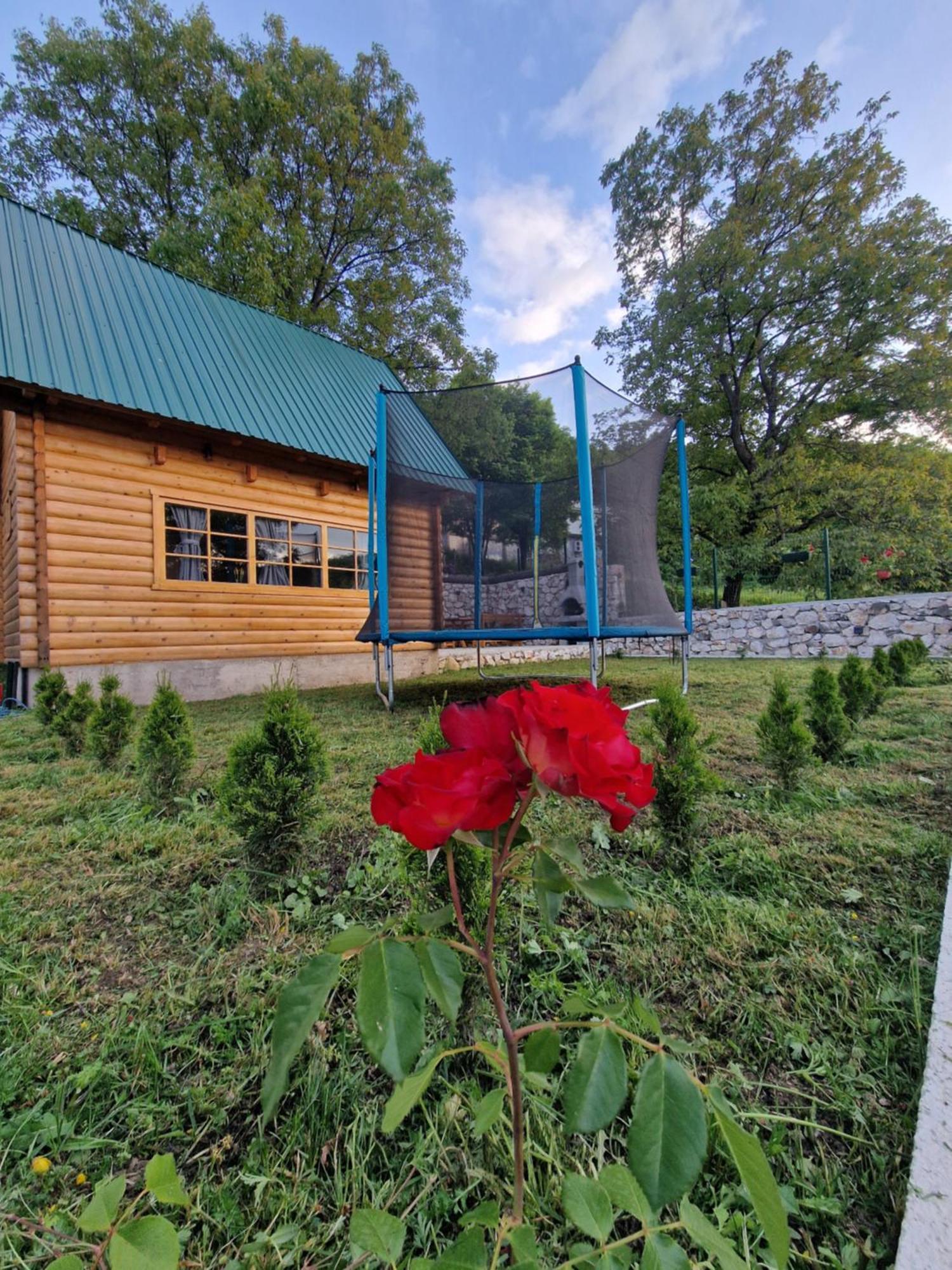 Brvnara Ricki Villa Cetinje Exterior photo