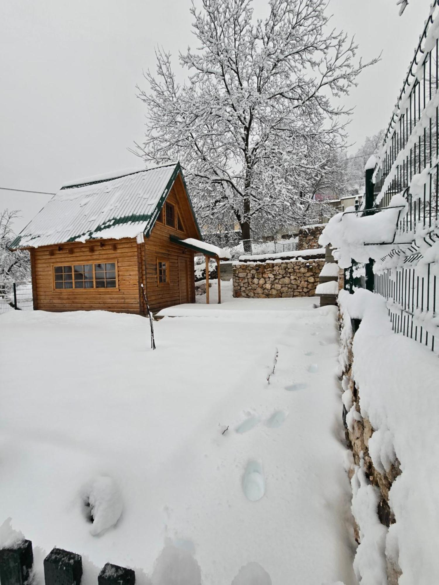 Brvnara Ricki Villa Cetinje Exterior photo